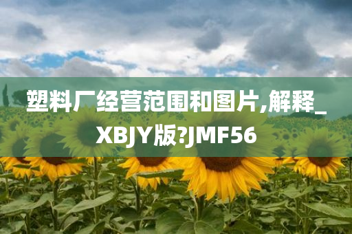 塑料厂经营范围和图片,解释_XBJY版?JMF56