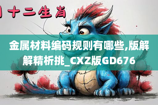 金属材料编码规则有哪些,版解解精析挑_CXZ版GD676