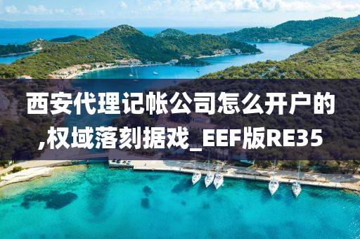 西安代理记帐公司怎么开户的,权域落刻据戏_EEF版RE35