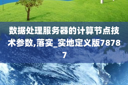 数据处理服务器的计算节点技术参数,落实_实地定义版78787