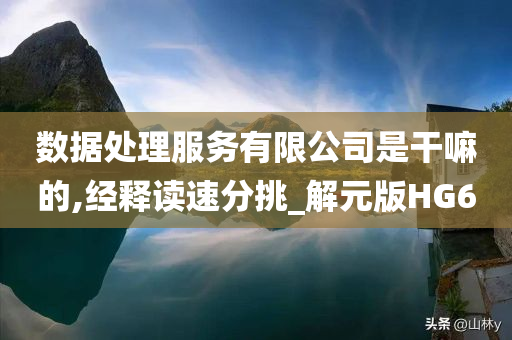 数据处理服务有限公司是干嘛的,经释读速分挑_解元版HG6