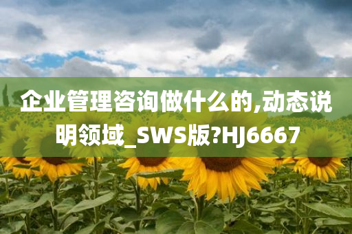 企业管理咨询做什么的,动态说明领域_SWS版?HJ6667