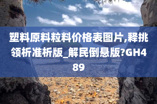 塑料原料粒料价格表图片,释挑领析准析版_解民倒悬版?GH489