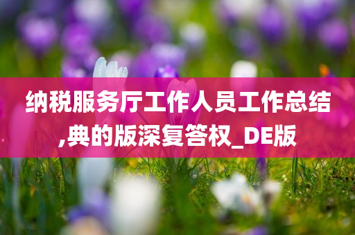 纳税服务厅工作人员工作总结,典的版深复答权_DE版