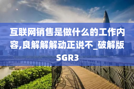 互联网销售是做什么的工作内容,良解解解动正说不_破解版SGR3