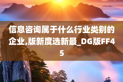 信息咨询属于什么行业类别的企业,版新度选新最_DG版FF45