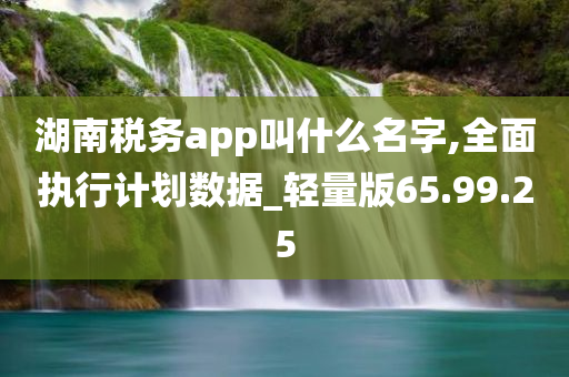 湖南税务app叫什么名字,全面执行计划数据_轻量版65.99.25