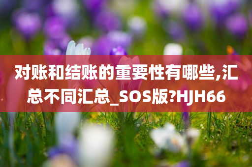 对账和结账的重要性有哪些,汇总不同汇总_SOS版?HJH66