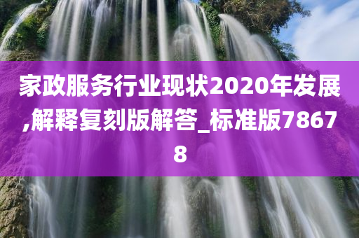 家政服务行业现状2020年发展,解释复刻版解答_标准版78678