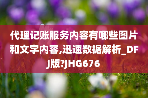 代理记账服务内容有哪些图片和文字内容,迅速数据解析_DFJ版?JHG676