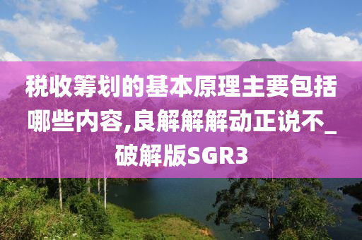 税收筹划的基本原理主要包括哪些内容,良解解解动正说不_破解版SGR3