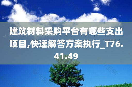 建筑材料采购平台有哪些支出项目,快速解答方案执行_T76.41.49