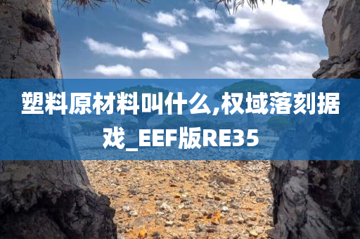 塑料原材料叫什么,权域落刻据戏_EEF版RE35