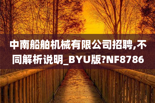 中南船舶机械有限公司招聘,不同解析说明_BYU版?NF8786