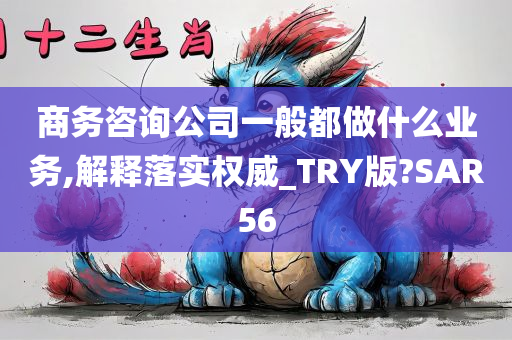 商务咨询公司一般都做什么业务,解释落实权威_TRY版?SAR56