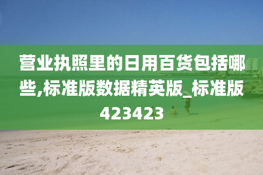 营业执照里的日用百货包括哪些,标准版数据精英版_标准版423423