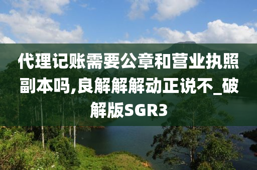 代理记账需要公章和营业执照副本吗,良解解解动正说不_破解版SGR3