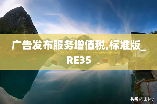 广告发布服务增值税,标准版_RE35