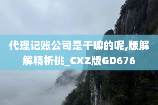 代理记账公司是干嘛的呢,版解解精析挑_CXZ版GD676