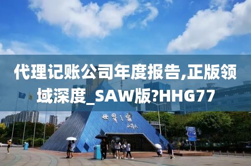 代理记账公司年度报告,正版领域深度_SAW版?HHG77