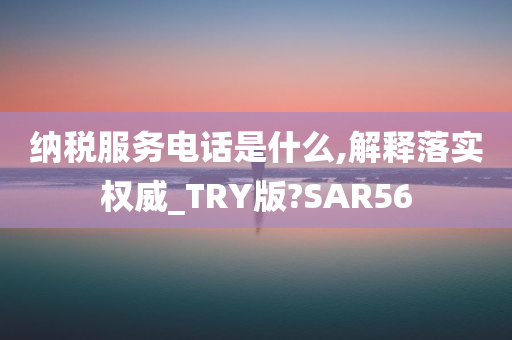 纳税服务电话是什么,解释落实权威_TRY版?SAR56