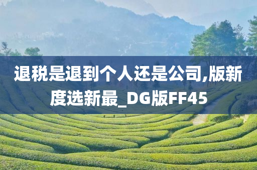 退税是退到个人还是公司,版新度选新最_DG版FF45