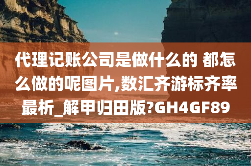 代理记账公司是做什么的 都怎么做的呢图片,数汇齐游标齐率最析_解甲归田版?GH4GF89