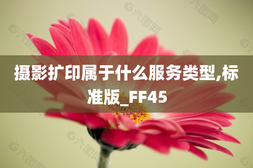 摄影扩印属于什么服务类型,标准版_FF45