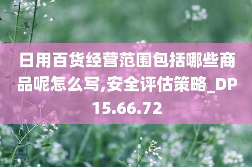 日用百货经营范围包括哪些商品呢怎么写,安全评估策略_DP15.66.72