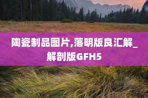 陶瓷制品图片,落明版良汇解_解剖版GFH5