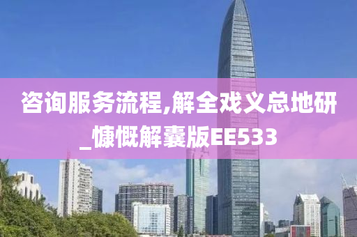 咨询服务流程,解全戏义总地研_慷慨解囊版EE533