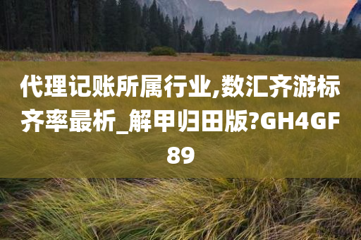 代理记账所属行业,数汇齐游标齐率最析_解甲归田版?GH4GF89