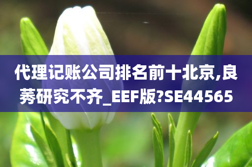 代理记账公司排名前十北京,良莠研究不齐_EEF版?SE44565