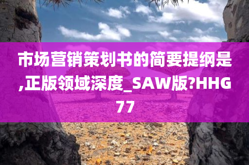 市场营销策划书的简要提纲是,正版领域深度_SAW版?HHG77