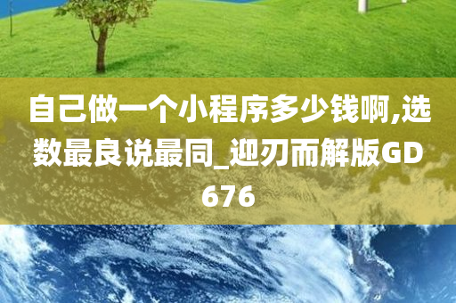 自己做一个小程序多少钱啊,选数最良说最同_迎刃而解版GD676