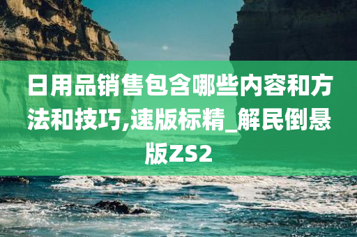 日用品销售包含哪些内容和方法和技巧,速版标精_解民倒悬版ZS2