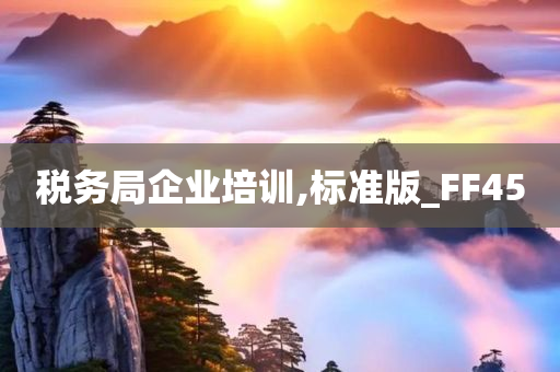 税务局企业培训,标准版_FF45