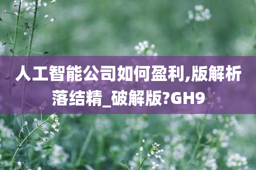 人工智能公司如何盈利,版解析落结精_破解版?GH9