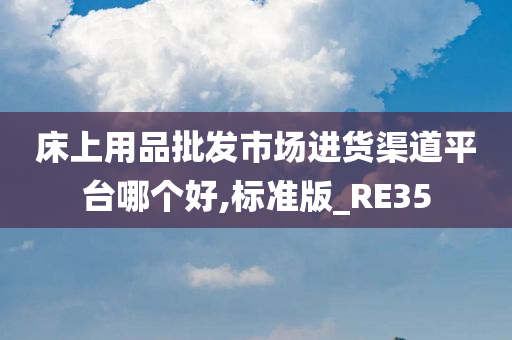 床上用品批发市场进货渠道平台哪个好,标准版_RE35