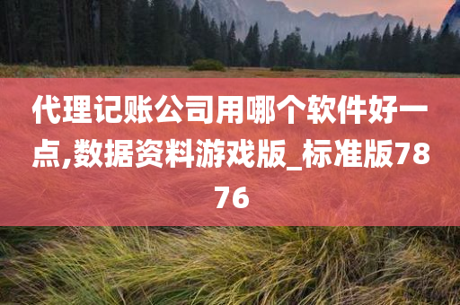 代理记账公司用哪个软件好一点,数据资料游戏版_标准版7876