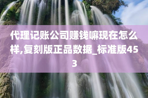 代理记账公司赚钱嘛现在怎么样,复刻版正品数据_标准版453