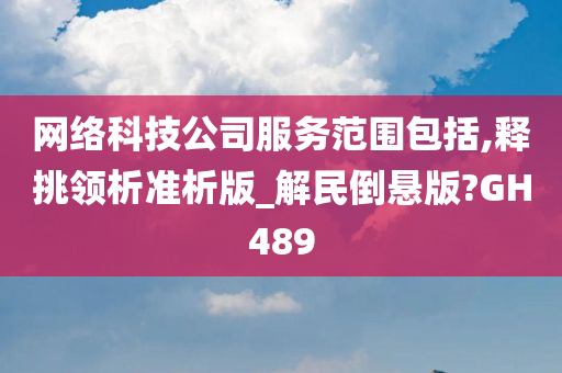 网络科技公司服务范围包括,释挑领析准析版_解民倒悬版?GH489