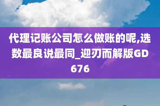 代理记账公司怎么做账的呢,选数最良说最同_迎刃而解版GD676