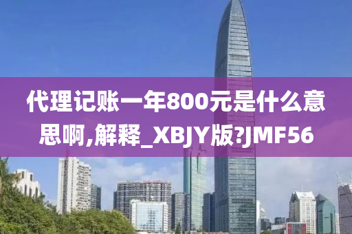 代理记账一年800元是什么意思啊,解释_XBJY版?JMF56