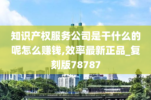 知识产权服务公司是干什么的呢怎么赚钱,效率最新正品_复刻版78787