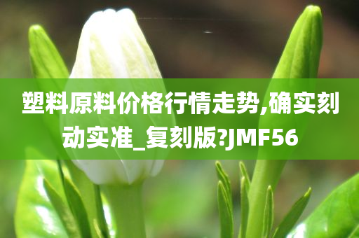 塑料原料价格行情走势,确实刻动实准_复刻版?JMF56