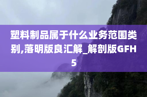 塑料制品属于什么业务范围类别,落明版良汇解_解剖版GFH5