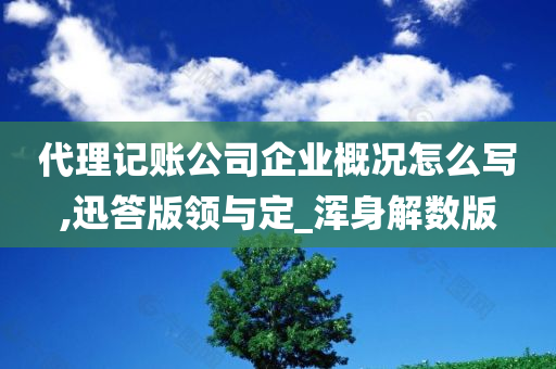 代理记账公司企业概况怎么写,迅答版领与定_浑身解数版