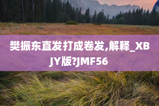 樊振东直发打成卷发,解释_XBJY版?JMF56