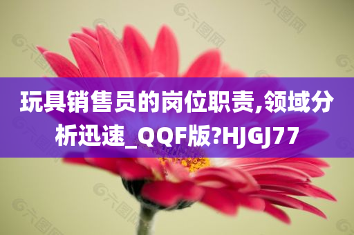 玩具销售员的岗位职责,领域分析迅速_QQF版?HJGJ77